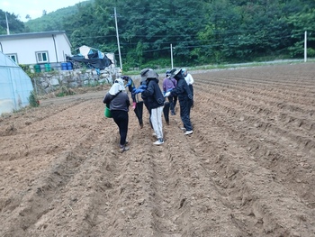 메인사진